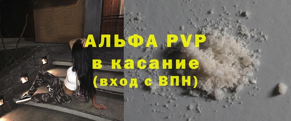 стаф Богородск