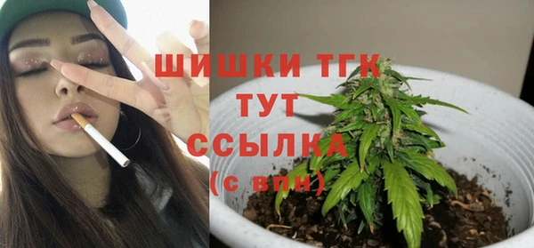 стаф Богданович