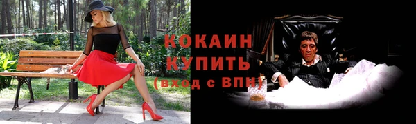 стаф Богданович