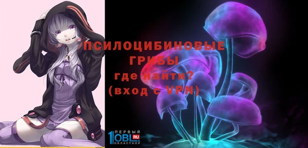 ешки Богородицк