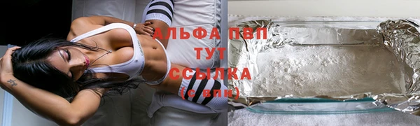 стаф Богданович