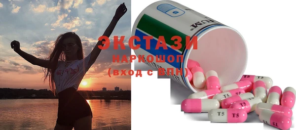 стаф Богданович