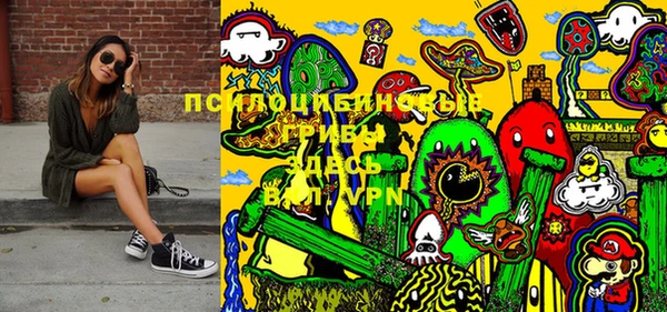 стаф Богданович