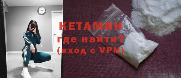 стаф Богданович